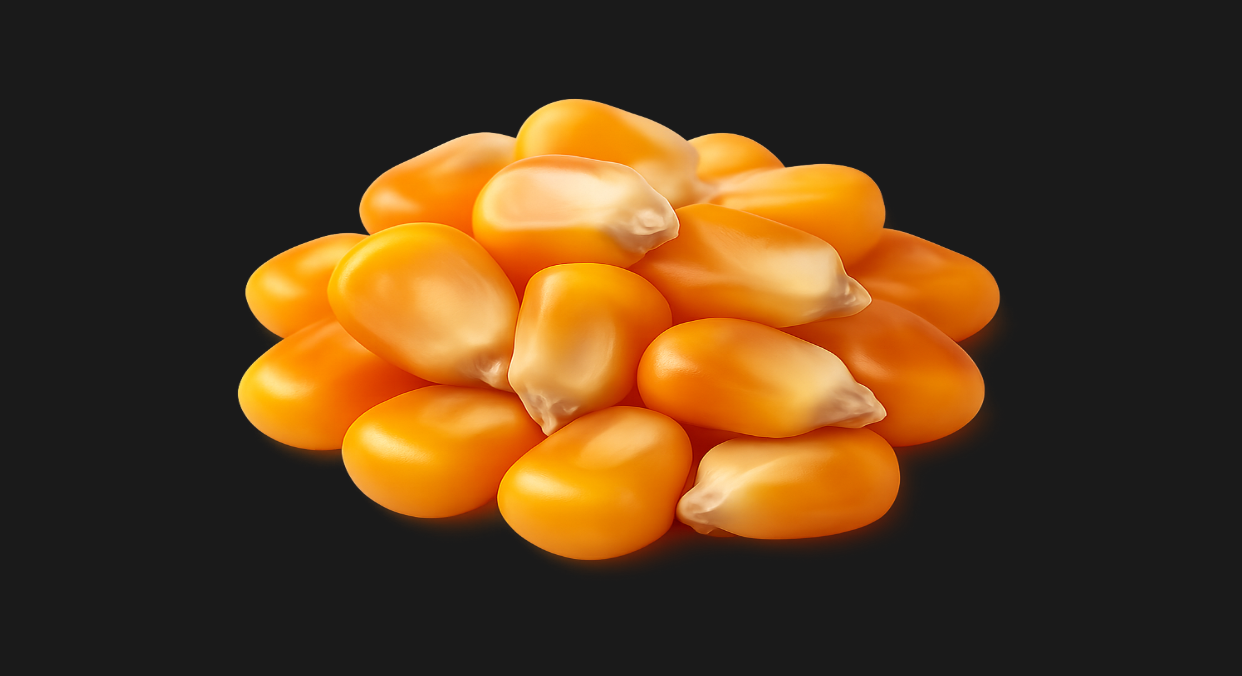 Qualidade dos grãos